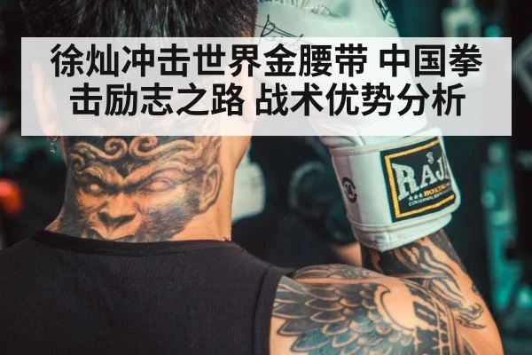 徐灿冲击世界金腰带 中国拳击励志之路 战术优势分析